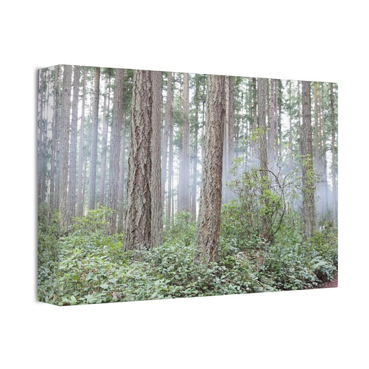 Forest Mist Canvas Print, 1.5' - Serene Nature Wall Art for Home Decor